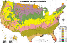 garden planting hardiness zones by us state Garden Planting Hardiness Zones By US State