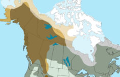 Geographic Distribution Bears In North America