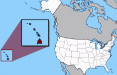 HAWAII SOLAR BOAT RACE RASH MOVE WHALE RESCUE MISSION PACIFIC OCEAN