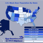 Http Hopamerica U S Black Bear Population By State Black Bear