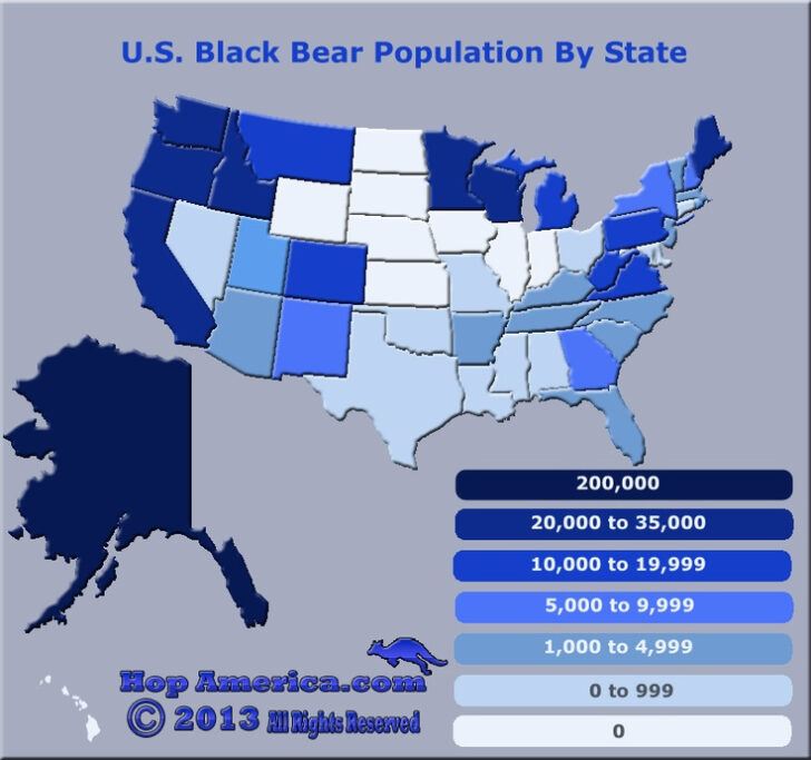 Bears In USA Map