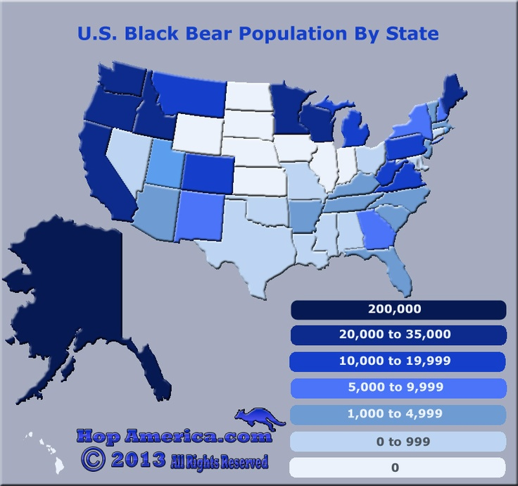 Http hopamerica u s black bear population by state Black Bear 