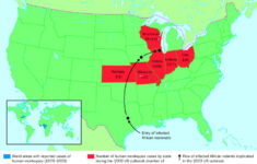 monkeypox map q3tjtyo1gscjmm Monkeypox Map Q3tjtyo1gscjmm