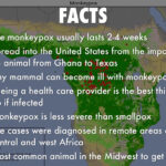 MonkeyPox Outbreak In Bayelsa 10 People Quarantined FlashInfoNg