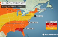 Pdf Monitoring Pollen Counts And Pollen Allergy Index Using Florida