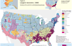 Race Distribution In The USA
