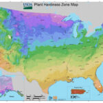 United States Climate Zone Map JMF Landscaping Company And Garden Center