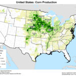 United States Crop Production Maps