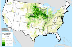 United States Crop Production Maps