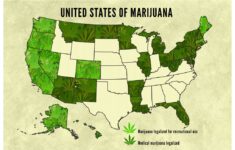 United States Of Marijuana Legalization 2016 Updated Map Poster 12x18