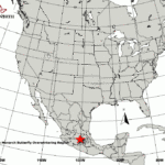 Usa Map Latitudes USA Map