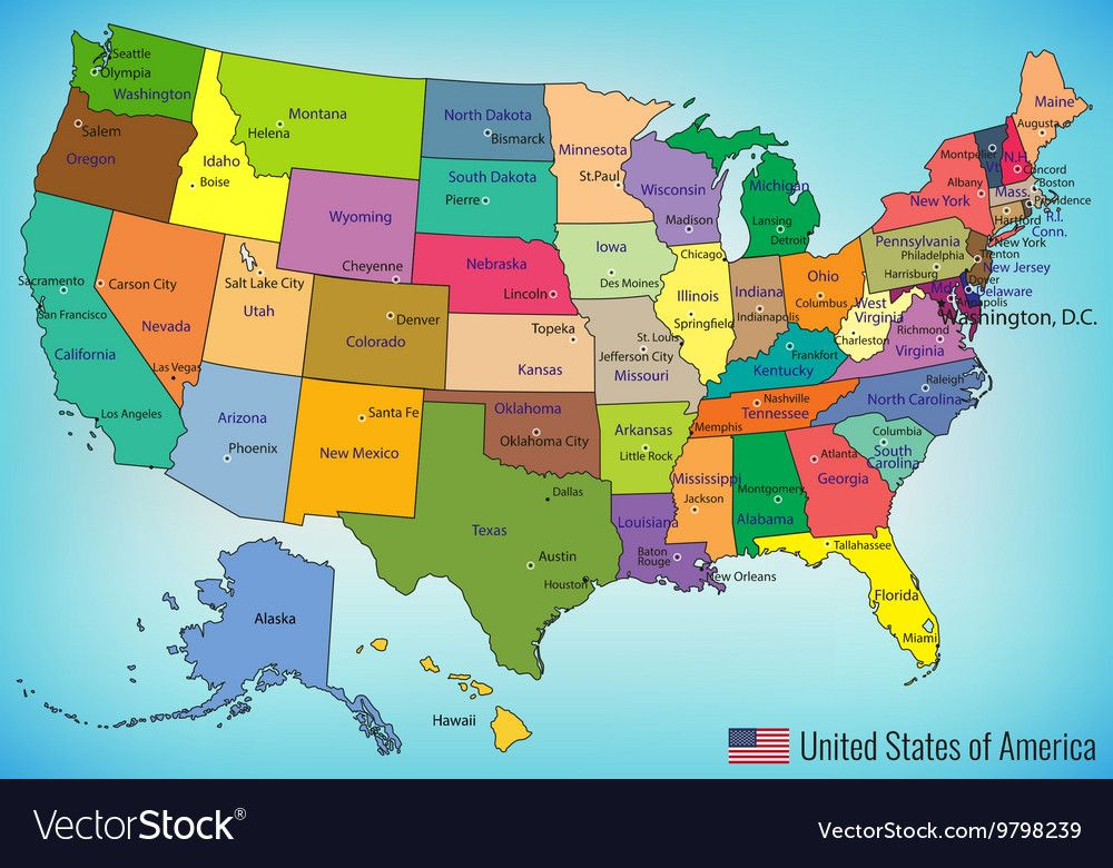 USA Map With Federal States All States Are Selectable Vector 