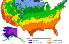 USDA Hardiness Zone Map