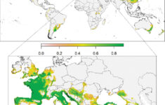 what is the asian hornet invasion going to cost europe What Is The Asian Hornet Invasion Going To Cost Europe