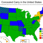 29 Concealed Carry State Map Maps Online For You