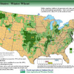 Agriculture Contributes To Accelerating Depletion Of US Groundwater