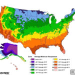 Hardiness Zones And Succulents Redbud Tree Map Cacti And Succulents