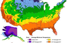 Hardiness Zones And Succulents Redbud Tree Map Cacti And Succulents