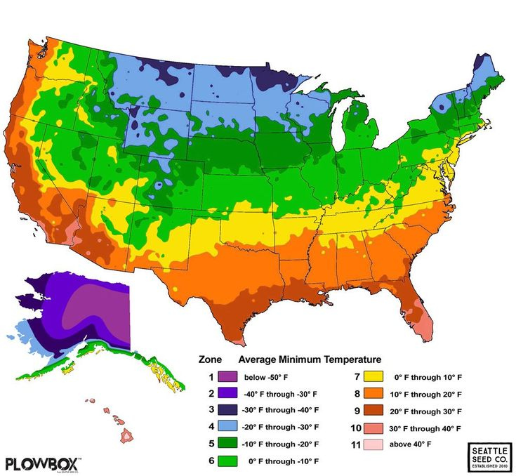 Hardiness Zones And Succulents Redbud Tree Map Cacti And Succulents