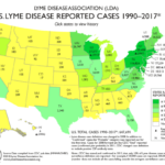 Interactive US Map Analyses Of CDC Reported Lyme Disease Cases Lyme