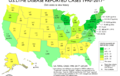 Interactive US Map Analyses Of CDC Reported Lyme Disease Cases Lyme