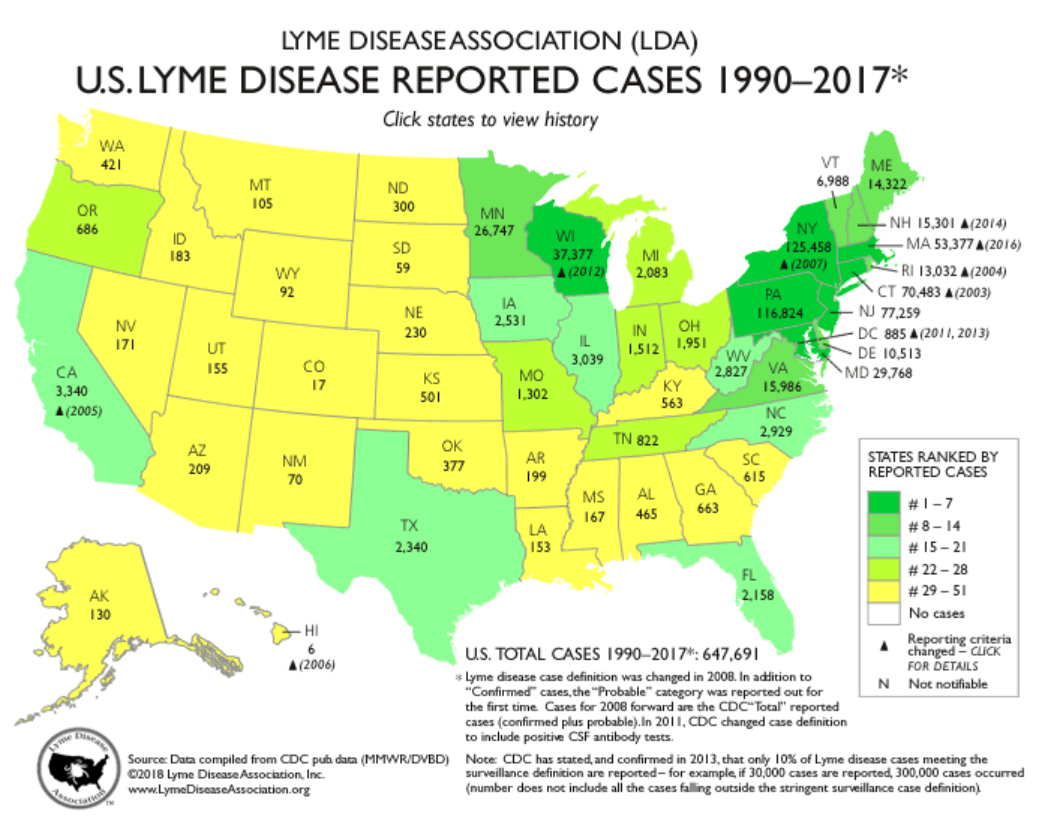 Interactive US Map Analyses Of CDC Reported Lyme Disease Cases Lyme 