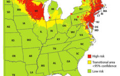 Lyme Disease Map Pinpoints Areas Where Disease Poses Biggest Threat