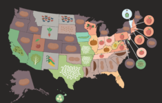 Main Crops Grown In Each State Of The United States Of America By