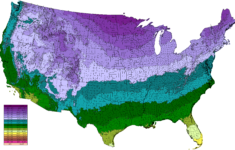 The Climate Of The United States Mapped Vivid Maps