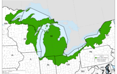Thumbnail Of 2014 Great Lakes Region CCA Map Great Lakes Region Map