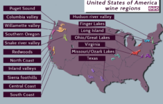 United States Of America The Producer Of Every Kind Of Wine Imaginable