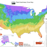 Us Plant Hardiness Zone Map Mapsof