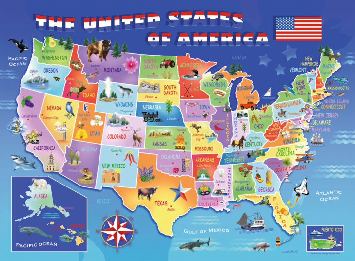 Map Of USA Puzzle