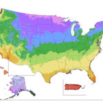 USDA Cold Hardiness Map Zone Finder