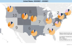 Use This Map To Track The COVID Delta Variant In The US