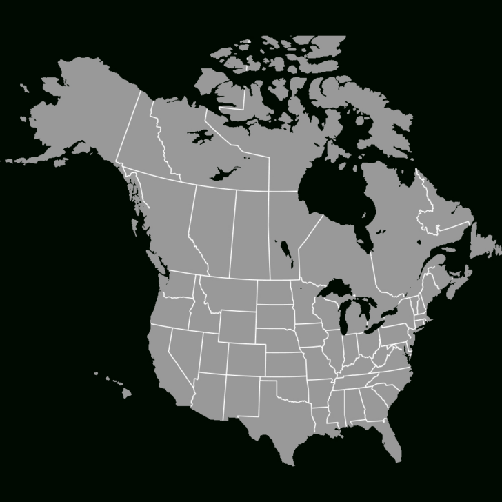 Printable USA Map with States and Canada