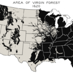 File:virgin Forest In United States, 1620   Wikimedia Commons Regarding Usa Map 1620 Printable