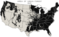 File:virgin Forest In United States, 1620 - Wikimedia Commons regarding Usa Map 1620 Printable